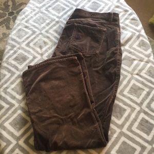 Brown velvet type pants